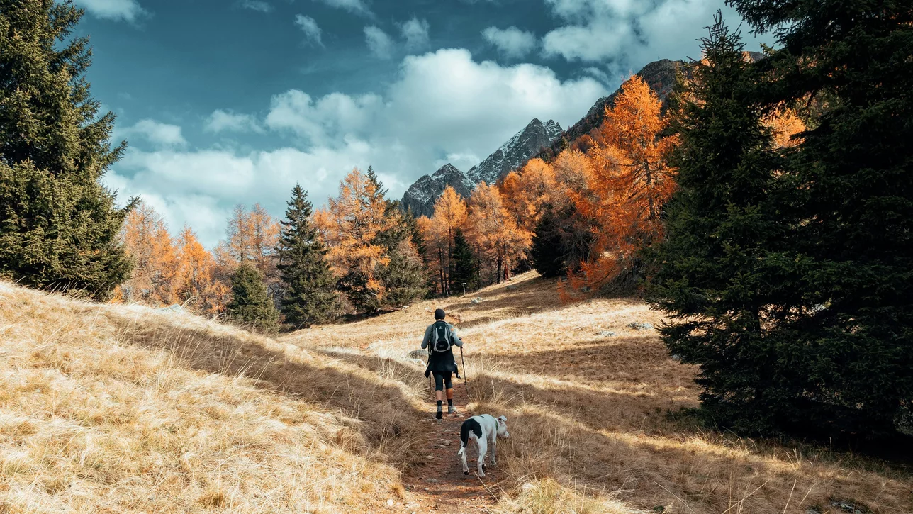 Herbstwanderung in Südtirol: Erlebe Südtirol von einer ganz neuen Seite